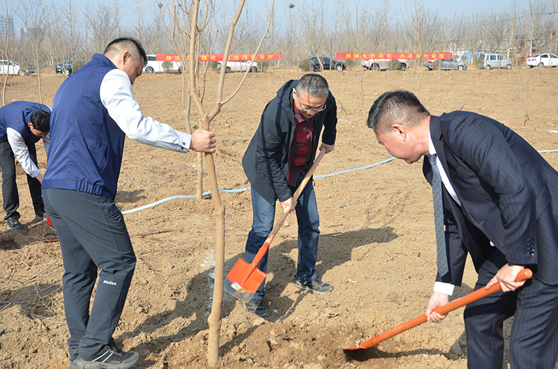共创绿色都会 共建漂亮河东”植树运动-银河集团