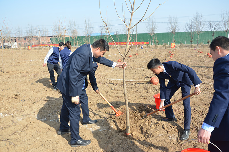 共创绿色都会 共建漂亮河东”植树运动-银河集团