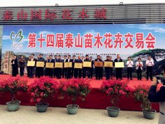 银河集团园林加入泰山苗木花卉生意会，，，一同探讨苗木生长新模式